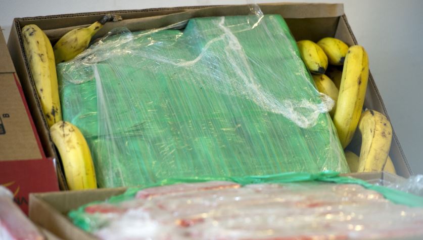 Gjermani  Mbi 100 kg kokainë zbulohet në arkat me fruta në disa supermarkete