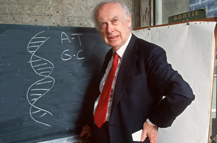 ndahet-nga-jeta-zbuluesi-i-struktures-se-adn-se-james-watson