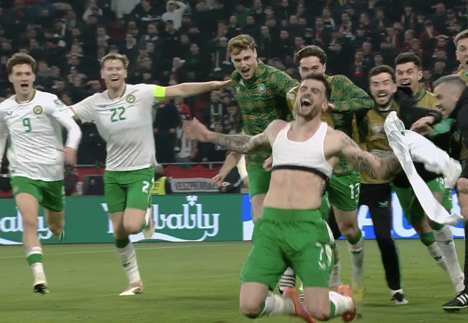 Në sekondat e fundit Irlanda realizon gol   Hungaria mbetet pa  Play Off 