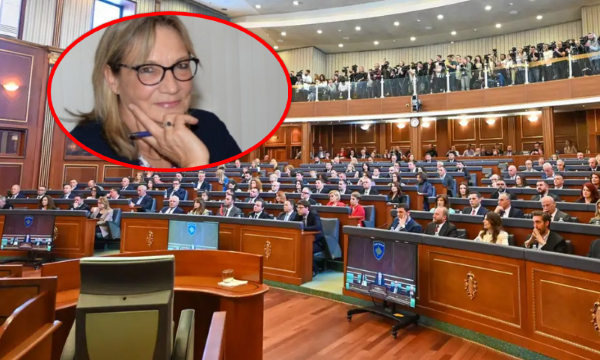 Ekspertja gjermane Deimel  Moszgjedhja e presidentit do të ishte fatale për Kosovën  duhet kandidat kompromisi me opozitën